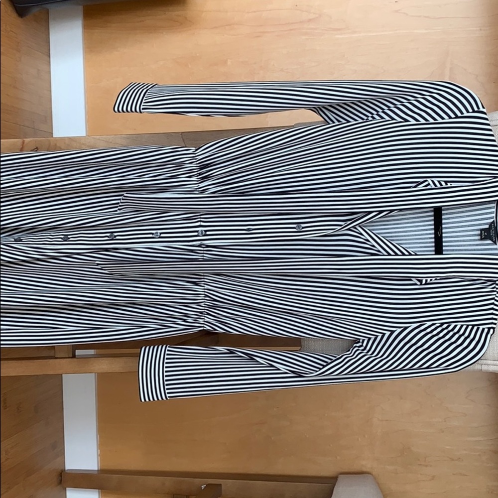 Ann Taylor Petites Striped Tie Dress